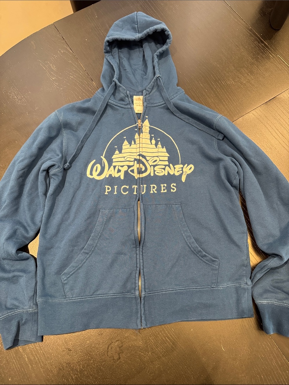 Disney Blue Walt Disney Pictures Zip-Up Hoodie